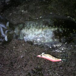 シーズン真っ盛り！？