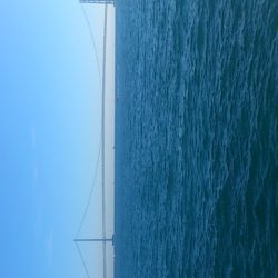 カレイはいずこへ・・・