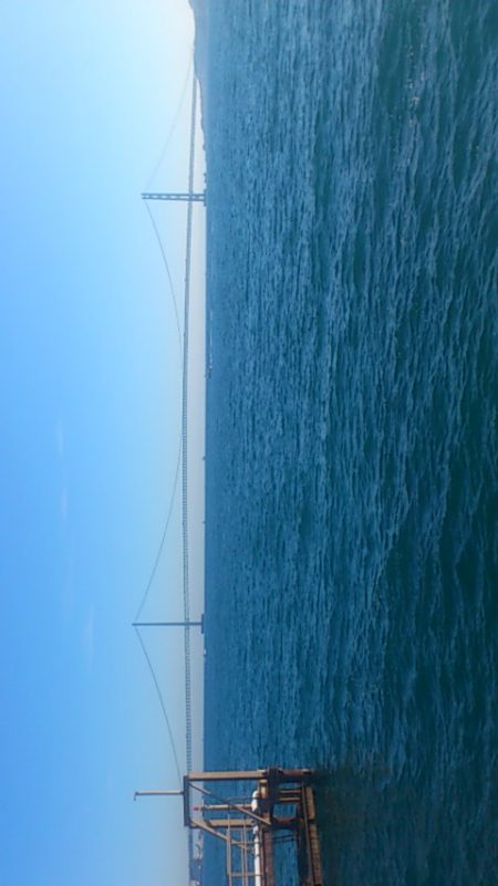 カレイはいずこへ・・・