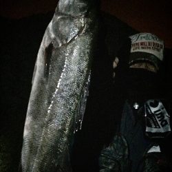 波をかぶり、ずくたんぼになりながら、なんとか一本釣れました＼(^o^)／