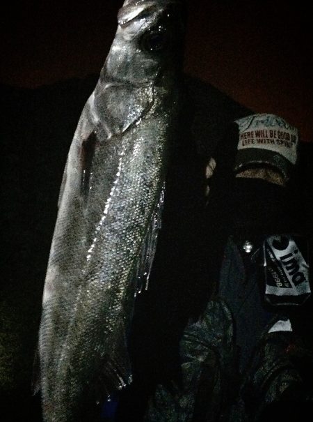 波をかぶり、ずくたんぼになりながら、なんと…