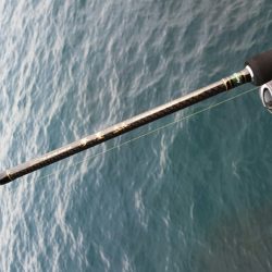 今シーズンラスト若狭