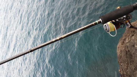 今シーズンラスト若狭