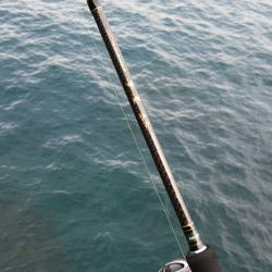 今シーズンラスト若狭