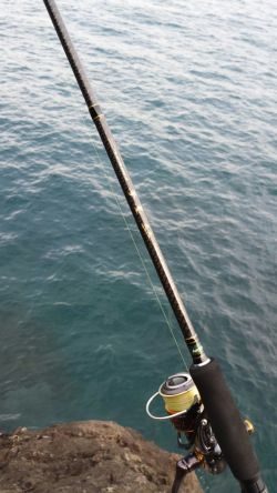 今シーズンラスト若狭