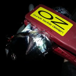 まだ、いてた！