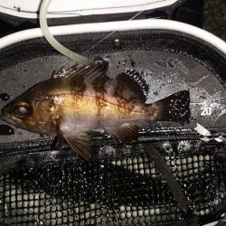 心地よい引きの正体は