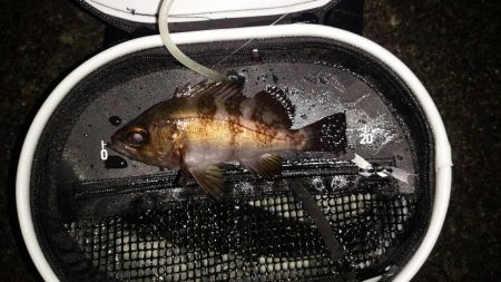 心地よい引きの正体は