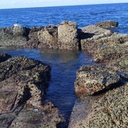 グレ5匹・・・・・アイコ゛二匹・・・