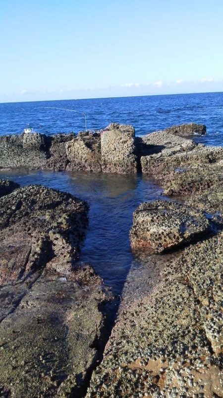 グレ5匹・・・・・アイコ゛二匹・・・