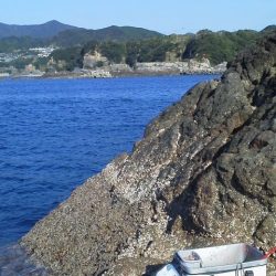 グレ4匹・・・・・イサキ14匹・・・・グレ釣りは難しい・・・・