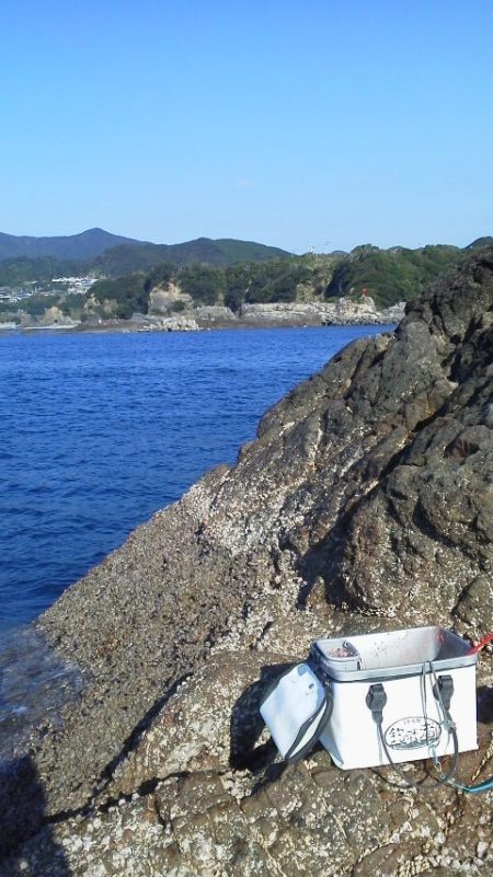 グレ4匹・・・・・イサキ14匹・・・・グレ…