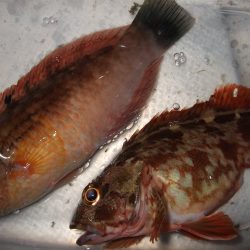 日暮れまでの３時間