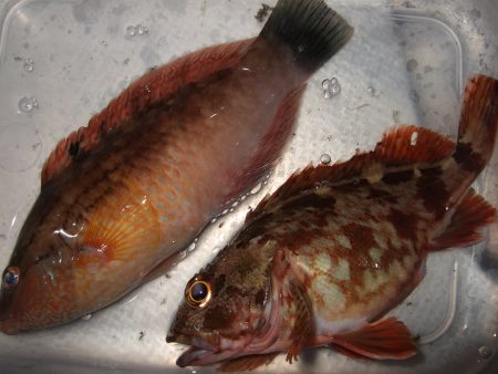 日暮れまでの３時間