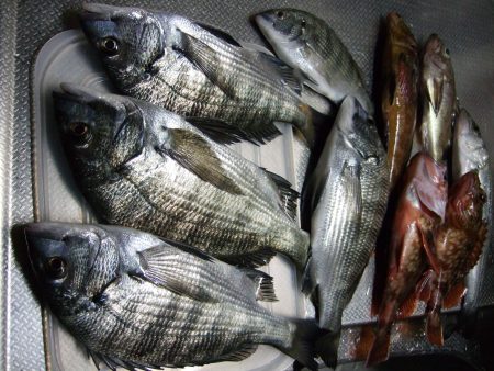 ウキって見てない時に、沈んでない？