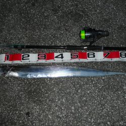 終盤!?早朝～タチウオのウキ釣り