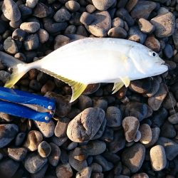 サーフジギング