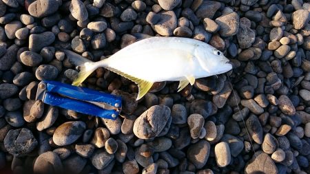 サーフジギング