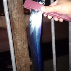 大津川尻高場で太刀魚3匹get