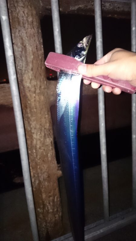 大津川尻高場で太刀魚3匹get