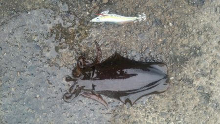 昨日に続いて…