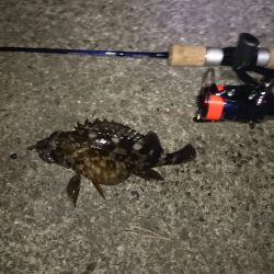 久しぶりに北港！