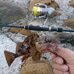 久々のデイゲーム