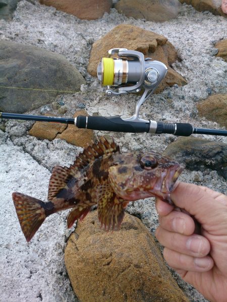 久々のデイゲーム