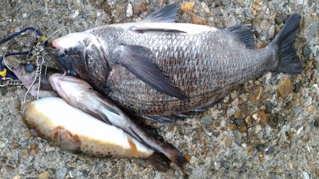 遠征フカセ釣り