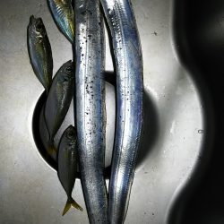 リベンジ成功～