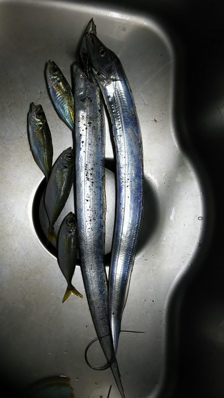 リベンジ成功～