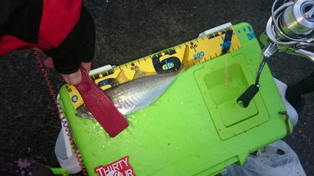 リベンジ　アジング