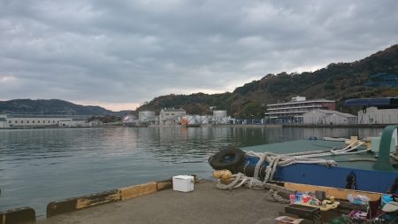 師走のタチウオ