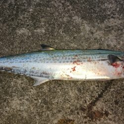 竿納めで目標達成！