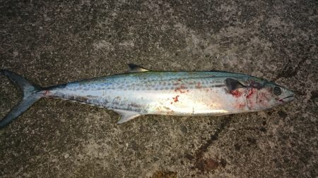 竿納めで目標達成！