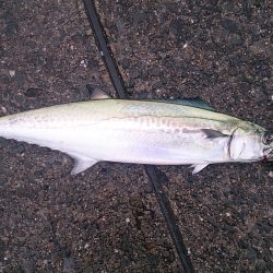 雨の中、気合いダアッ！