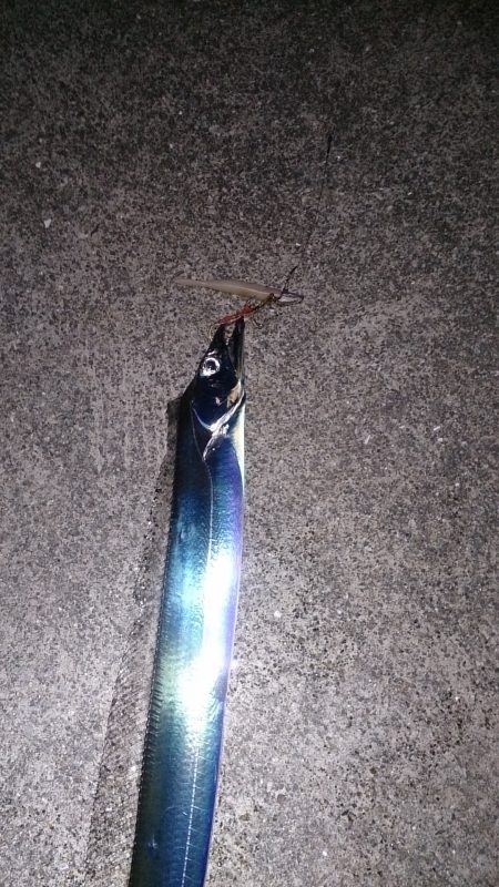 サクッと刀狩り