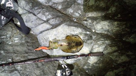 スーパームーン！！