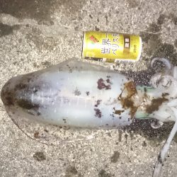 外気温度は、低いがまだまだ釣れそうです。