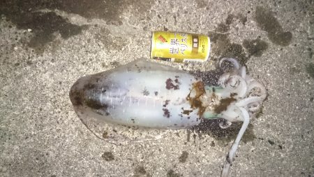 外気温度は、低いがまだまだ釣れそうです。