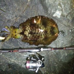 スーパームーン？？