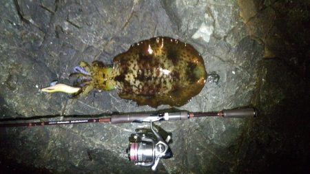 スーパームーン？？