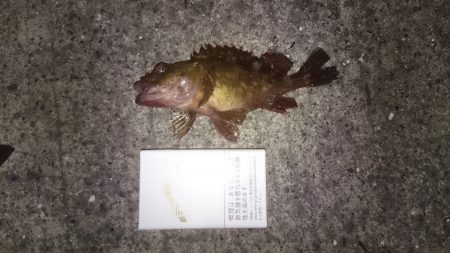 結局ガシリング！