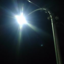 群れさん来てください