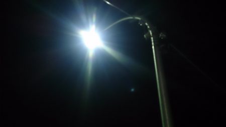 群れさん来てください