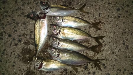 少し来たかな？