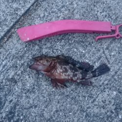 大掃除を抜け出して少しだけ