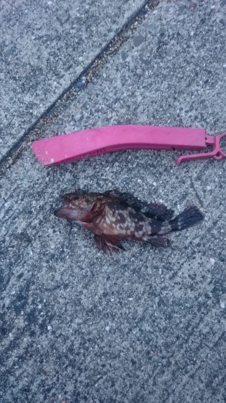 大掃除を抜け出して少しだけ