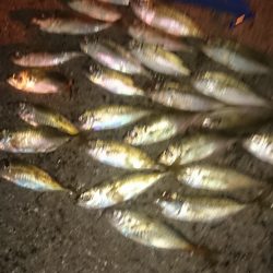 かなり寒いです