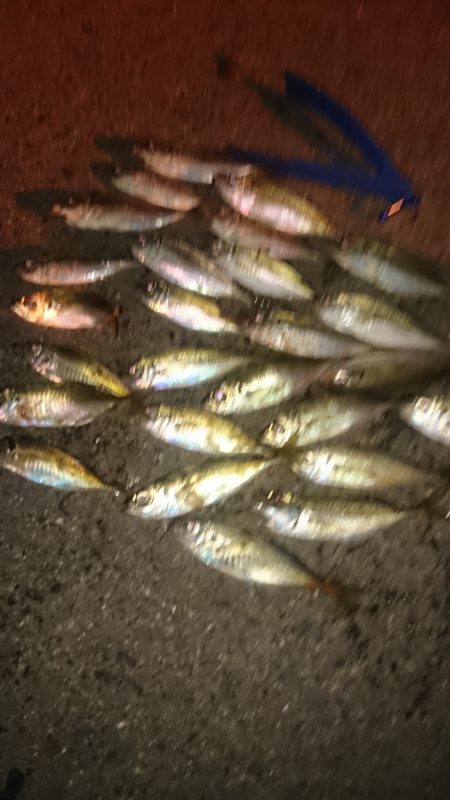 かなり寒いです